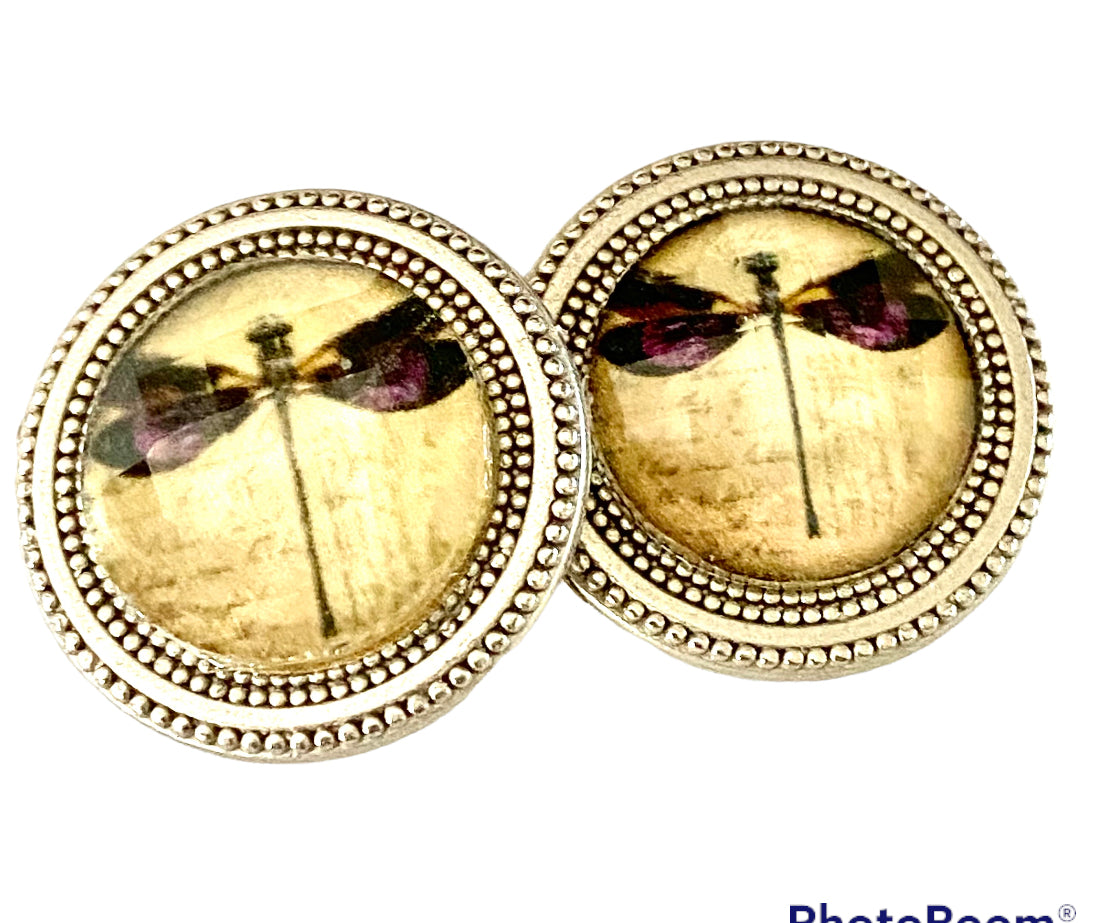 Dragonfly Print Magnet Button Set