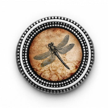 Antique Dragonfly Print Magnet Button Set