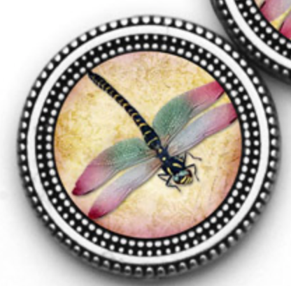 Dragonfly I Print Magnet Button Set