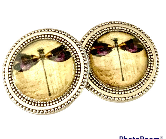 Dragonfly Print Magnet Button Set
