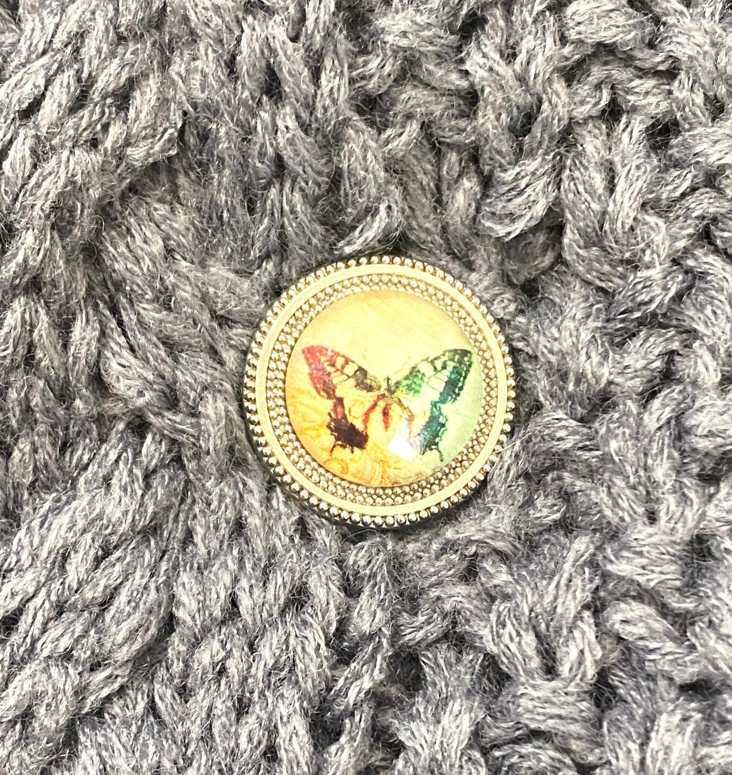 Vintage Butterfly Magnet Button Set