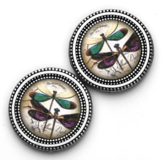 Dragonfly II Double Print Magnet Button Set